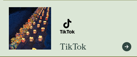 TikTok_bnr_off